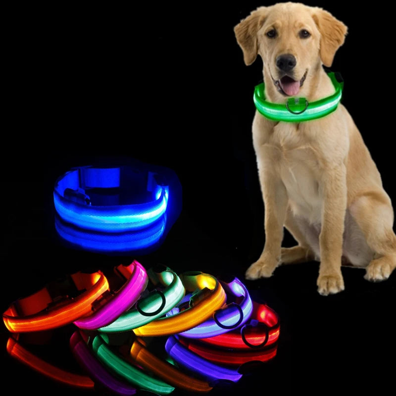 Coleira Anti Perda com luzLED para Cães - PetShine LED