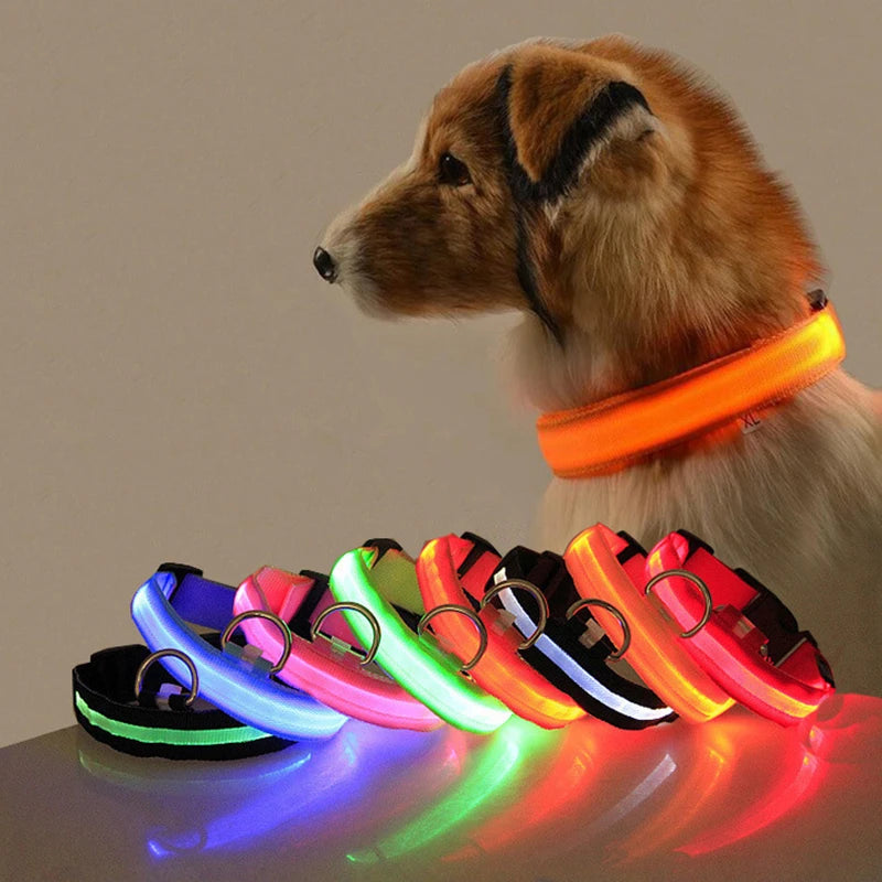 Coleira Anti Perda com luzLED para Cães - PetShine LED